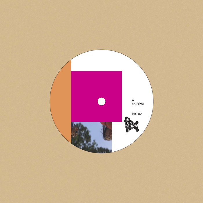 dipol - single 'hallo'