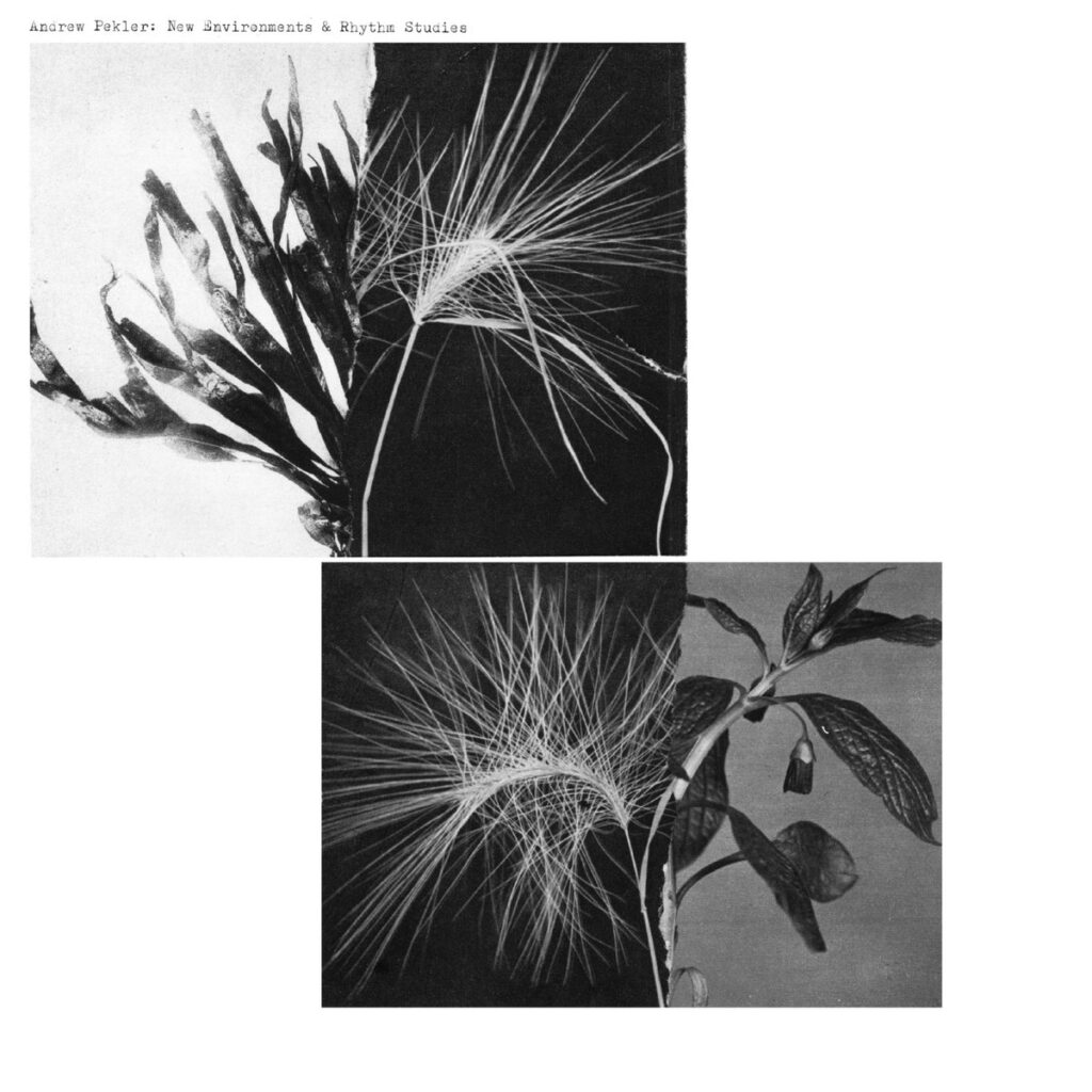 Andrew Pekler New Enviroments + Rhythm Stories Cover